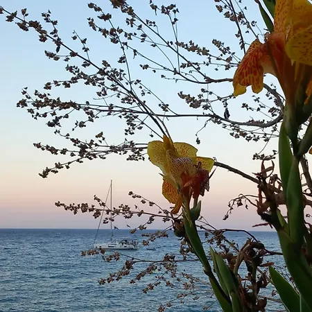 Areti Сasa de vacaciones Skala (Kefalonia)